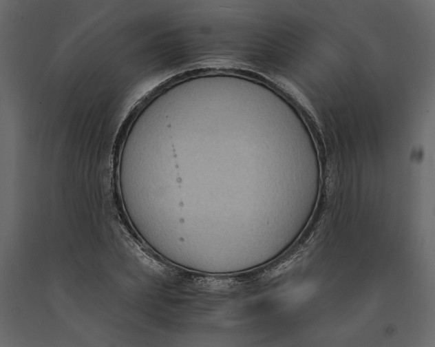 X0000091060831200708271154