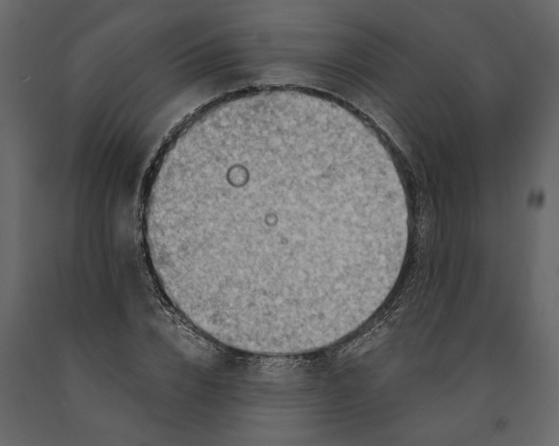 X0000091060832200708271154