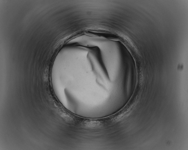 X0000091060833200708271154