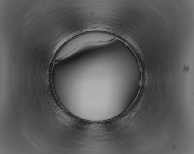 X0000091060834200708271154