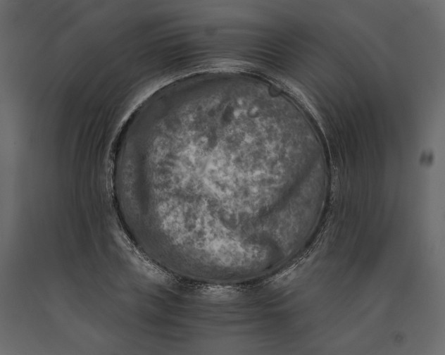 X0000091060835200708271154