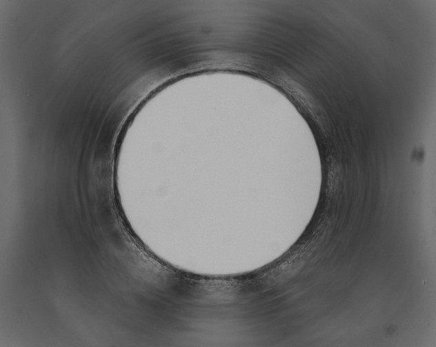 X0000091060836200708271154