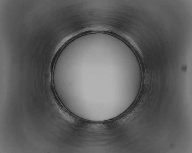 X0000091060837200708271154