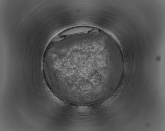 X0000091060839200708271154