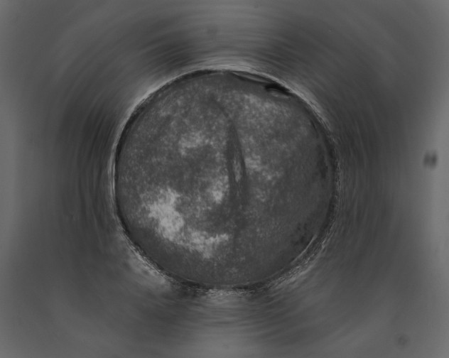 X0000091060840200708271154