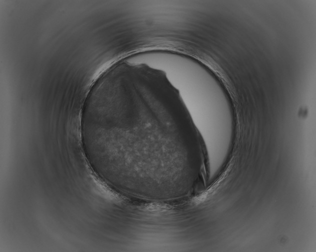 X0000091060842200708271154