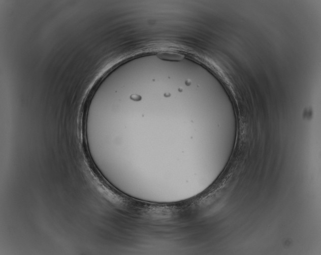 X0000091060843200708271154