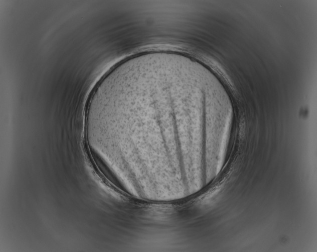 X0000091060844200708271154