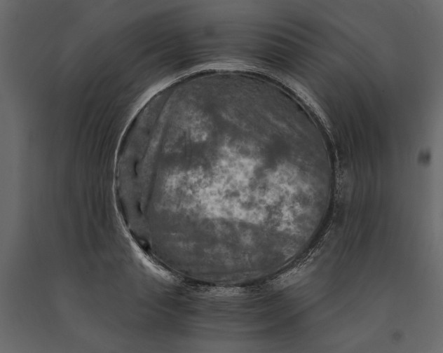 X0000091060845200708271154