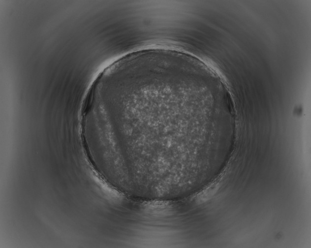 X0000091060846200708271154