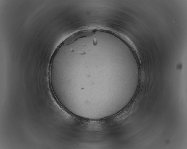 X0000091060847200708271154