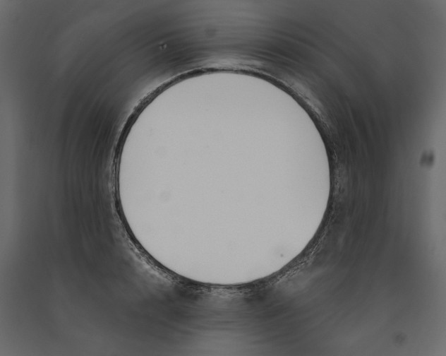 X0000091060848200708271154
