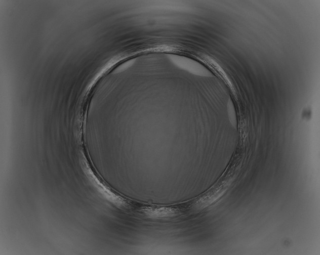 X0000091060851200708271154