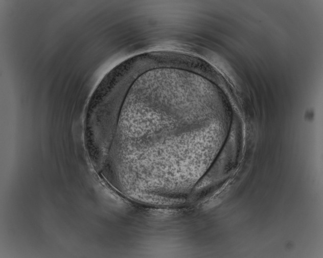 X0000091060854200708271154
