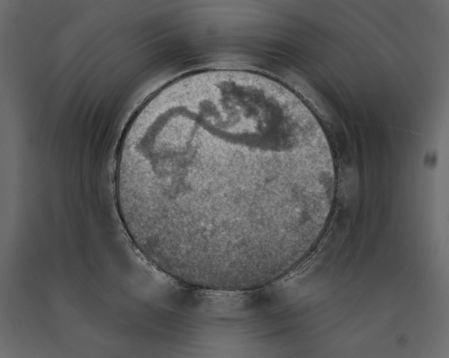 X0000091060856200708271154