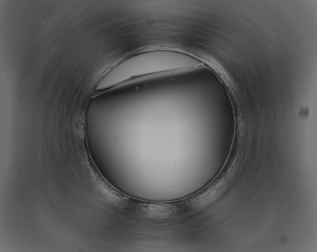 X0000091060857200708271154