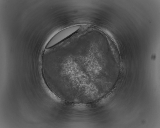 X0000091060859200708271154