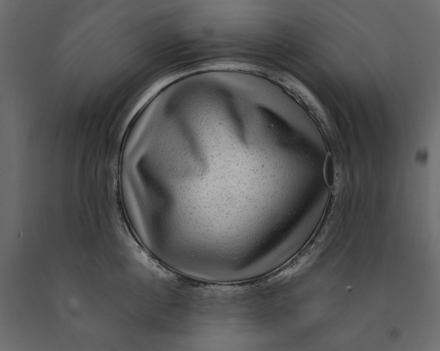 X0000091060860200708271154
