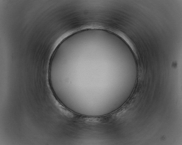 X0000091060861200708271154