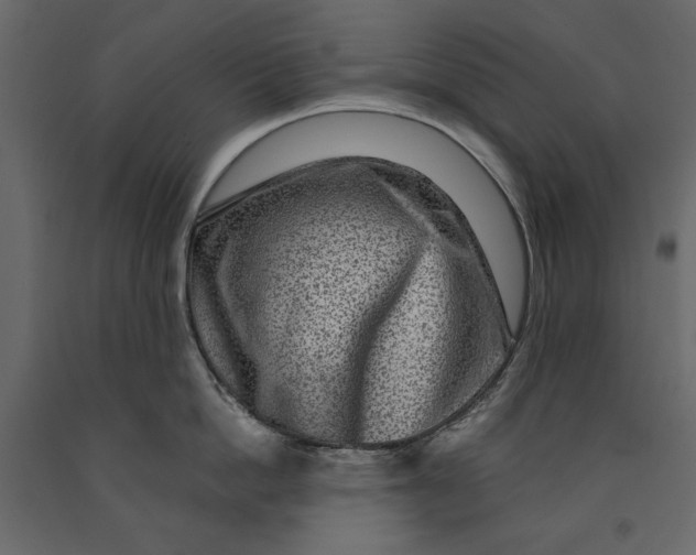 X0000091060862200708271154