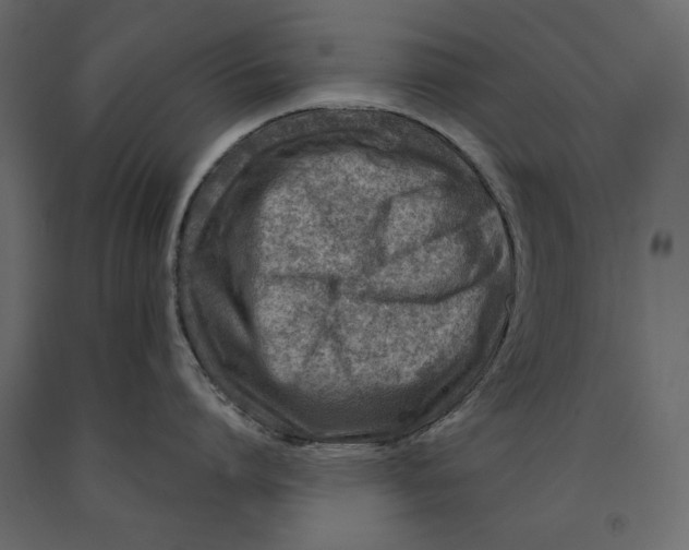 X0000091060864200708271154
