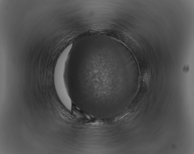 X0000091060868200708271154