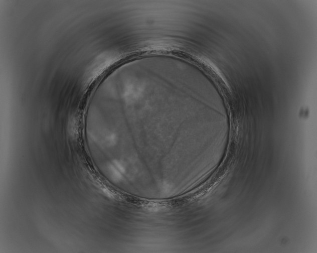 X0000091060874200708271153