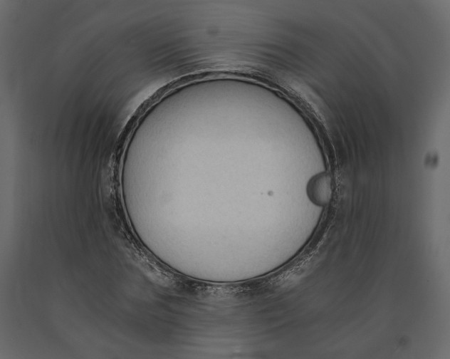 X0000091060875200708271153