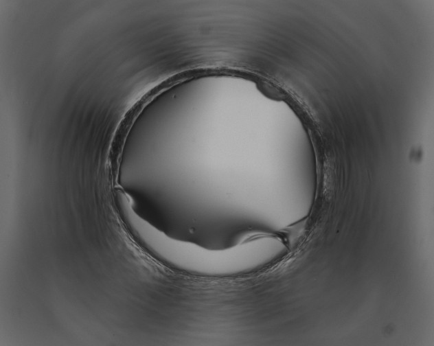 X0000091060876200708271153