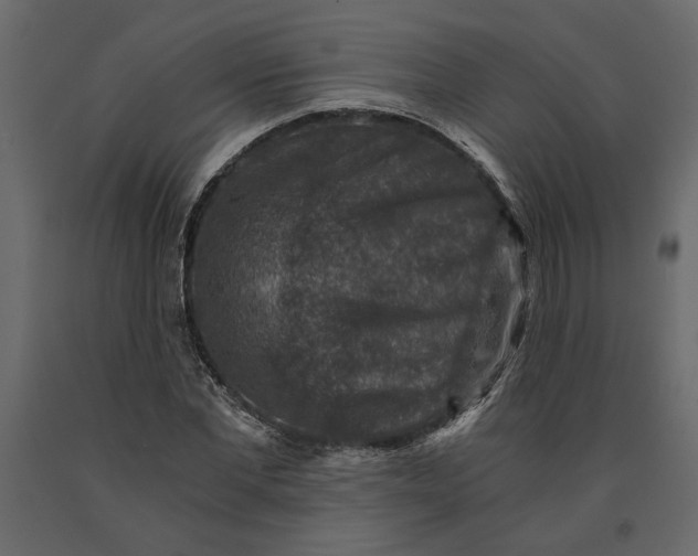 X0000091060877200708271153