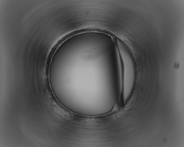 X0000091060880200708271153
