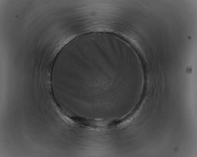 X0000091060881200708271153
