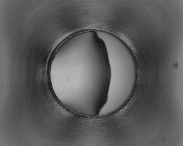 X0000091060884200708271153