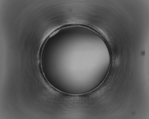 X0000091060885200708271153