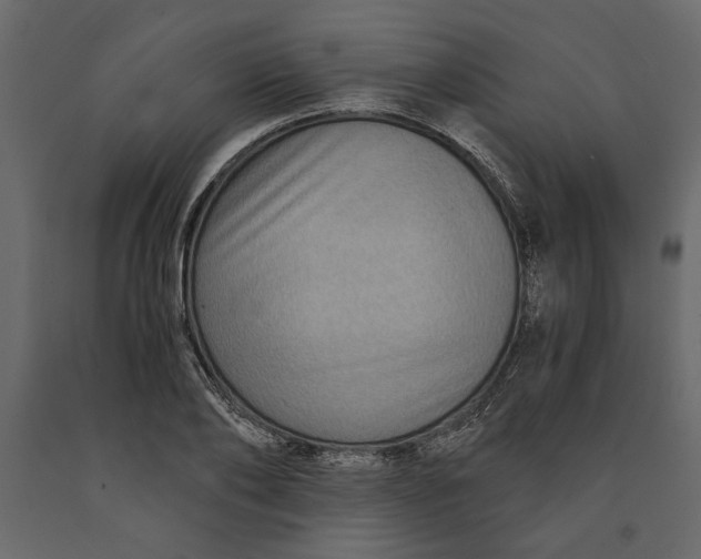 X0000091060886200708271153
