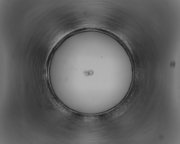 X0000091060887200708271153