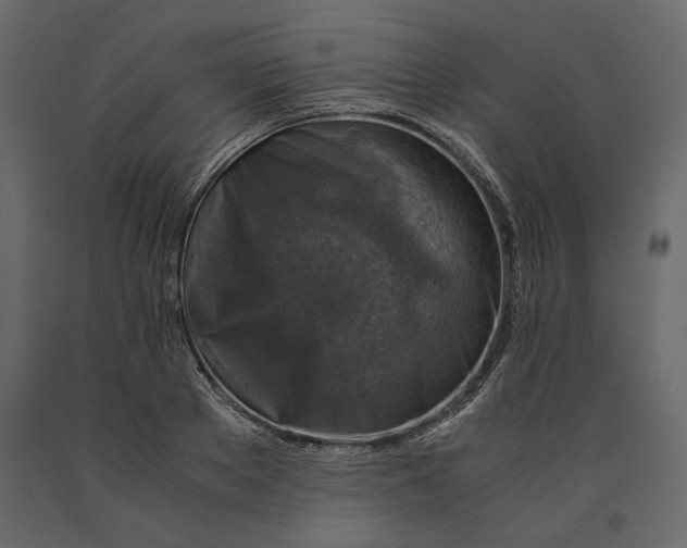 X0000091060889200708271153
