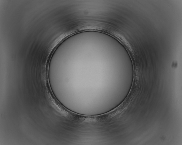 X0000091060890200708271153