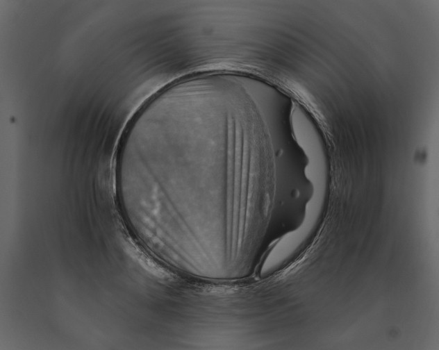 X0000091060892200708271153
