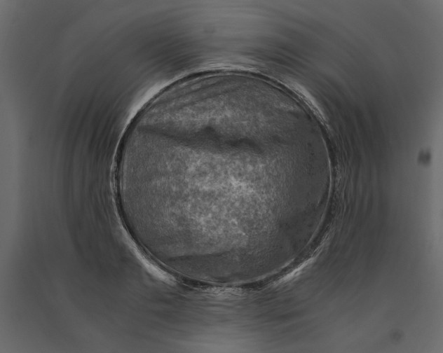 X0000091060893200708271153
