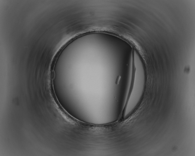 X0000091060894200708271153