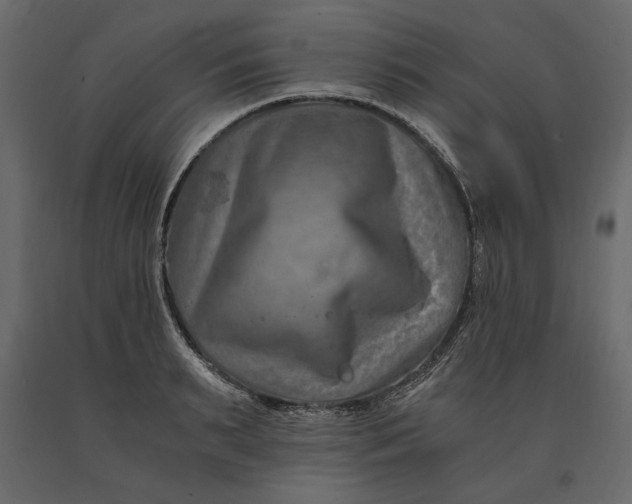 X0000091060895200708271153