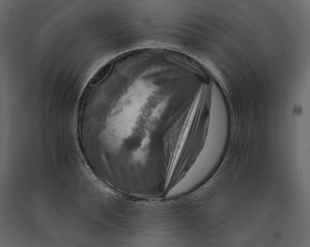 X0000091060896200708271153