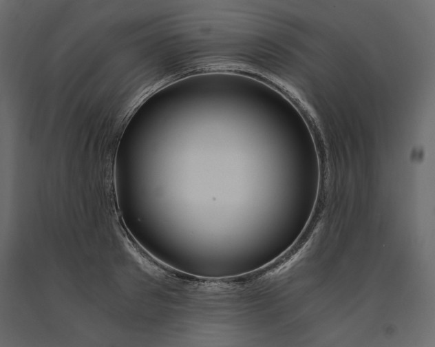 X0000091060897200708271153