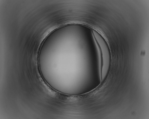 X0000091060898200708271153