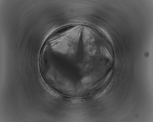 X0000091060899200708271153