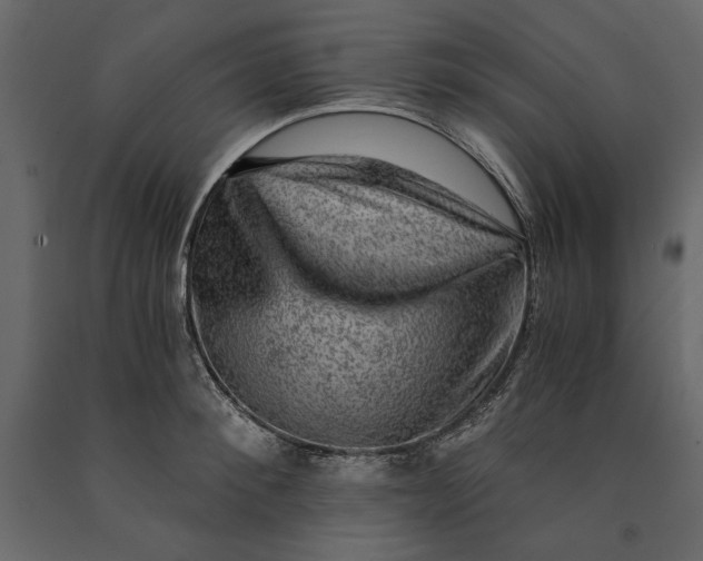 X0000091060900200708271153