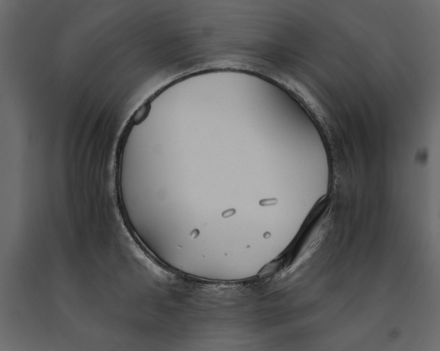 X0000091060902200708271153