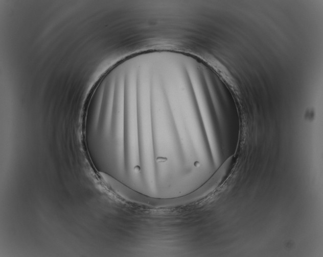 X0000091060904200708271153
