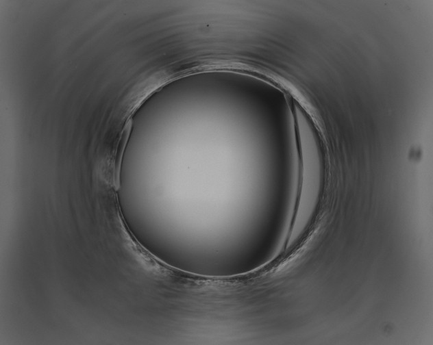 X0000091060905200708271153